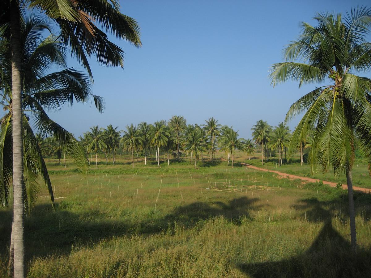 Lake View Bungalows Khao Lak Buitenkant foto